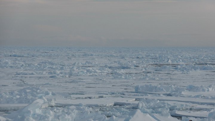 Forscher erkunden das arktische Meereis.
