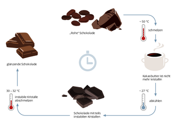 Die Grafik zeigt die verschiedenen Schritte beim Temperieren von Schokolade