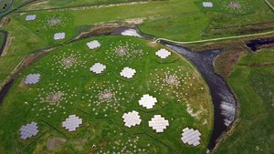Graue Quadrate mit einer Antenne in der Mitte über eine Wiese verstreut