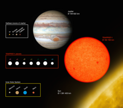 Oben Jupiter mit seinen vier größten Monden, in der Mitte TRAPPIST-1 und seine sieben Planeten, unten die Sonne und ihre vier terrestrischen Planeten.
