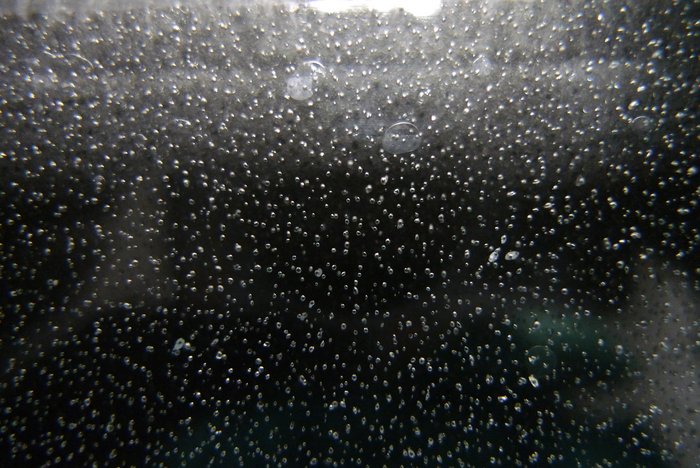 Gasblasen im Eisbohrkern Viele kleine Gasblasen im Eis des Bohrkerns.