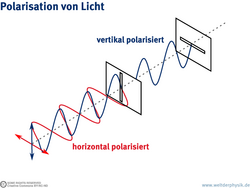 Grafik: Zwei Lichtwellen laufen auf einen senkrechten Spalt zu. Die eine schwingt in horizontaler Richtung, die andere vertikal. Nur die vertikal schwingende kommt durch, an einem zweiten waagerechten Spalt ist aber auch für sie Schluss.