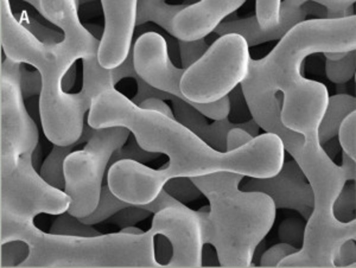 Poröse Nanostruktur Poröse Nanostruktur