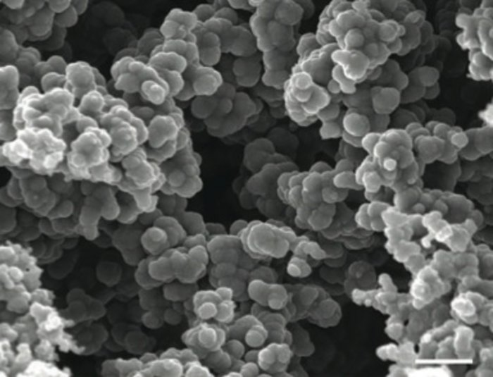 Nanostruktur der Elektrode Verästelte Struktur aus kleinen Kügelchen unter dem Mikroskop.