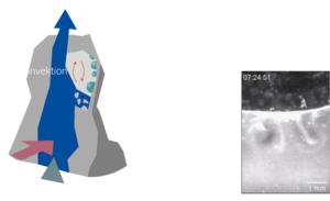Zweiteilige Grafik. Links: Ein blau dargestellter Wasserfluss steigt nach oben, eingerahmt von steiniger Umgebung; Wärme steigt nach oben. An einer Stelle kurz vor dem Austritt des Wassers aus dem Gestein befindet sich eine Gas-Wasser-Grenzfläche, an der sich durch Konvektion Tautropfen gebildet haben. Rechts befindet sich eine Mikroskopaufnahme, die eine dunkle und eine darunterliegende hellere Fläche zeigt; an der Grenzfläche zwischen hell und dunkel sind Wirbel in der helleren Seite zu erkennen.