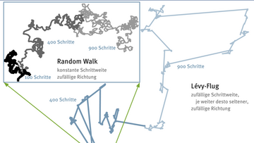 Random Walk