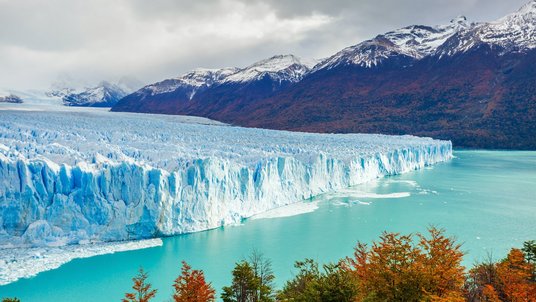 Blick von einer waldigen Fläche aus auf eine Gletscherwand, davor türkisfarbenes Wasser, dahinter eine felsige Bergkette
