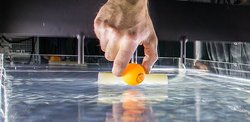 Ein Tischtennisball wird in ein Aquarium gelegt, in dem ein Kolben Wasserwellen erzeugt. 
