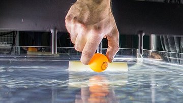 Ein Tischtennisball wird auf ein Wasserwellenfeld gelegt