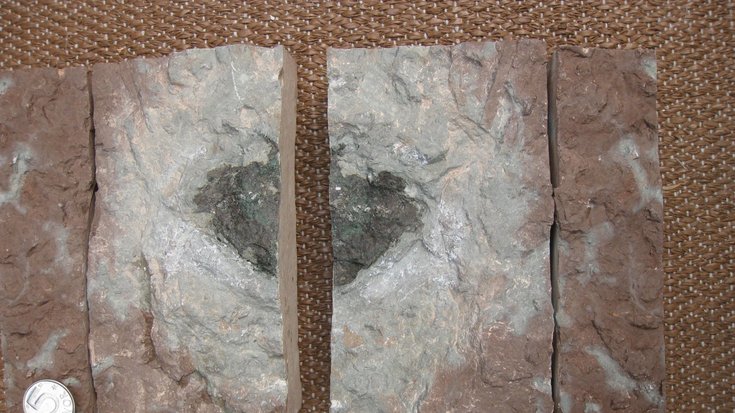 Helle in der Mitte gebrochene Steinplatte. Der Bruch geht durch das schwarze Innere des Steins, das den Meteoriten kennzeichnet.