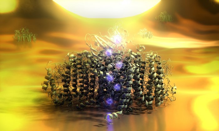 Strom fließt durch das Photosystem I Helle Punkte symbolisieren den Stromfluss durch das Molekül, dass dargestellt ist durch gefaltete Proteinfäden, die ein Oval formen.
