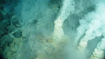 Das Bild zeigt Strukturen auf dem Meeresgrund, aus denen Dampf austritt.
