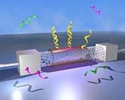 Nanosensor mit DNS-Molekülen