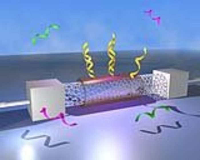 Nanosensor mit DNS-Molekülen Nanosensor mit DNS-Molekülen