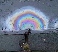 Auf dem Foto wirft ein Ölfilm auf nasser Straße das Licht in verschiedenfarbigen Ringen zurück.