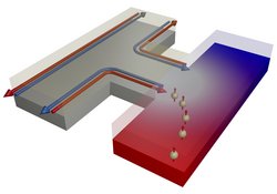 Die computergenerierte Grafik zeigt eine schematische Skizze eines topologischen Isolators, an dessen Rändern die Bewegungsrichtung von Elektronen in rot und blau angegeben ist: rot für Elektronenfluss in die eine Richtung, blau für Elektronenfluss in die andere Richtung. Der Spin der Elektronen ist von dieser Bewegungsrichtung abhängig, Physiker sprechen hier von einer Spinpolarisation.