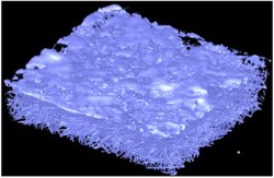 Die Aufnahme zeigt im Inneren die faserige Struktur des Membranstapels einer Brennstoffzelle. Die Oberfläche hingegen ist glatter. Diese Darstellung wurde mithilfe der Röntgenmikrotomographie erstellt, die im Gegensatz zur Neutronentomographie eine größere räumliche Auflösung ermöglicht. 
