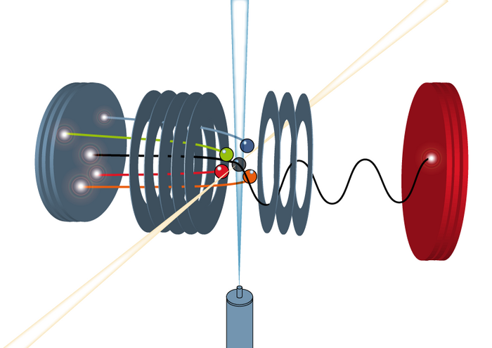 Diese dreidimensionale Computeranimation illustriert die
Fragmentierung eines Moleküls und den Nachweis der Molekülfragmente im
COLTRIMS. Unbewegt ist die waagrecht verlaufende, nach vorne geöffnete
Röhre, deren Enden mit zwei Platten - die Detektoren - abschließen. Ein
hantelartiges Gebilde - das Molekül - fliegt von unten in die Mitte der
Röhre. Senkrecht dazu aus dem Vordergrund naht ein hellschimmernder Punkt
- ein Lichtbltz - heran. Als Punkt und Hantel kollidieren, lösen sich die
Kugelenden der Hantel voneinander und fliegen daraufhin einzeln zur linken
Platte am Röhrenende. Gleichzeitig zieht sich eine Spirale zur rechten
Platte.