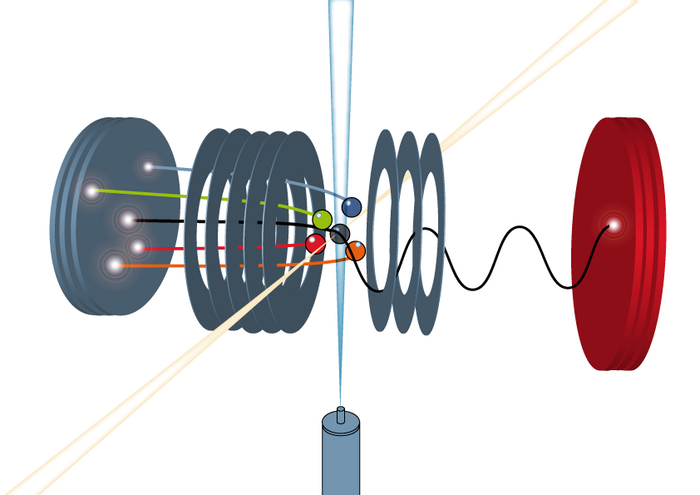 Molekülexplosion im COLTRIMS Diese dreidimensionale Computeranimation illustriert die
Fragmentierung eines Moleküls und den Nachweis der Molekülfragmente im
COLTRIMS. Unbewegt ist die waagrecht verlaufende, nach vorne geöffnete
Röhre, deren Enden mit zwei Platten - die Detektoren - abschließen. Ein
hantelartiges Gebilde - das Molekül - fliegt von unten in die Mitte der
Röhre. Senkrecht dazu aus dem Vordergrund naht ein hellschimmernder Punkt
- ein Lichtbltz - heran. Als Punkt und Hantel kollidieren, lösen sich die
Kugelenden der Hantel voneinander und fliegen daraufhin einzeln zur linken
Platte am Röhrenende. Gleichzeitig zieht sich eine Spirale zur rechten
Platte.