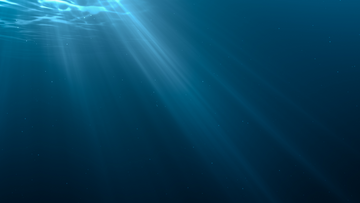 Das Bild zeigt eine Unterwasseraufnahme eines Ozeans. Links oben sieht man Licht durch die Wasseroberfläche scheinen. 