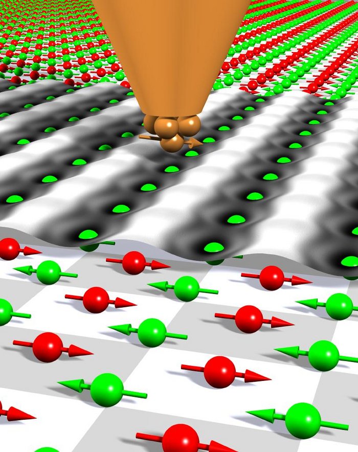 Funktionsprinzip eines Spin-polarisierten Rastertunnelmikroskops Grafik: Rote Kegelspitze tastet Fläche mit lauter grünen und roten Atomen ab, die je mit einem Pfeil durchstoßen sind.
