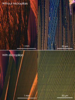 Vier Mikroskopbilder von streifenartigen Strukturen, die verschieden eingefärbt sind. In den oberen Bildern sind die Streifen sehr rau und uneben, unten sind sie erkennbar glatter.