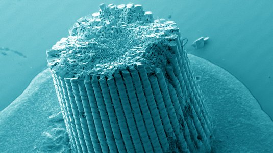 Nanostruktur eines Seeigelstachels