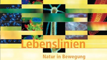 Ausschnitt Broschüre Jahr der Lebenswissenschaften