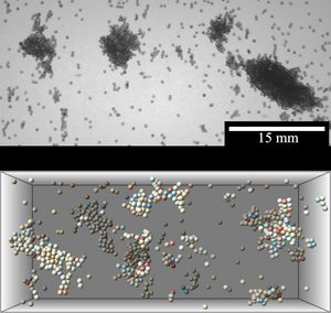 Oben: Zusammenballungen von Glaskügelchen. Unten: Simulation der Zusammenballung, unterschiedliche Ladungen sind farbig kodiert.
