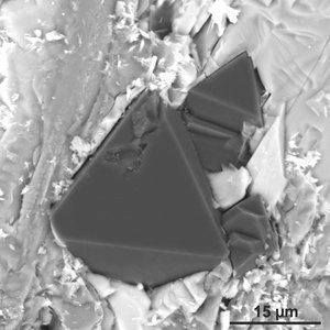 Schwarze-weiße Mikroskopaufnahme eines Diamanten: Glatter dunkelgrauer Körper mit dreieckiger Außenseite