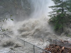 Foto. Tobendes Wildwasser eines Flusses, rechts ein Nadelbaum und im Hintergrund eine Felswand.