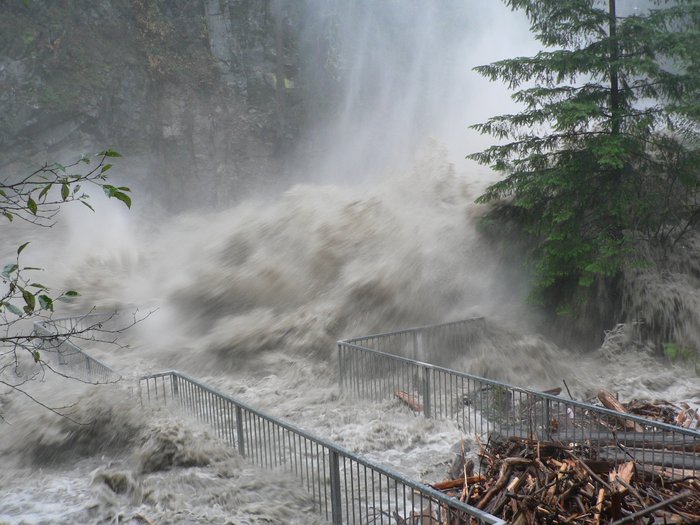 Hochwasser im Stillaguamish River Foto. Tobendes Wildwasser eines Flusses, rechts ein Nadelbaum und im Hintergrund eine Felswand.