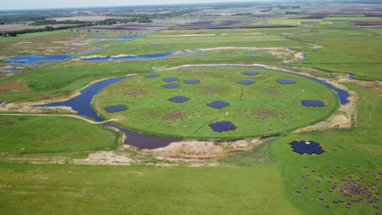 LOFAR-Station von oben: ein abgetrennter Kreis mit mehreren schwarzen und kreuzförmigen Modulen