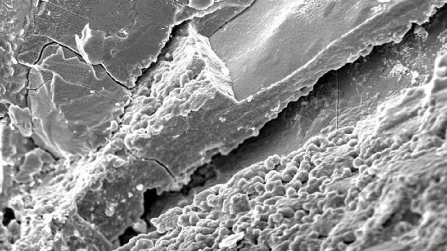 Welt der Physik Hinweise für Leben auf dem Mars untermauert