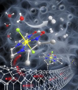 Dargestellt sind Nanoröhrchen zusammengesetzt aus Molekülketten, außerdem die Kobaltmolekülkomplexe, die über eine Brücke mit den Röhrchen verbunden sind. Ein Pfeil deutet an, wie Wassermooleküle in der Nähe der Kobalkomplexe gespalten werden.