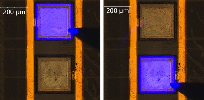 Vergrößerte Aufnahme eines Streifens mit LEDs. Zwei davon sind unter Strom gesetzt und leuchten violett auf. Ein eingezeichneter Maßstab zeigt an, dass sie kaum mehr als 200 Mikrometer breit snd.