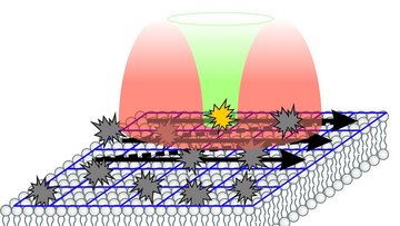 Schematische Darstellung, wie der Lichtstrahl des Mikroskops auf die Zellmembran trifft.