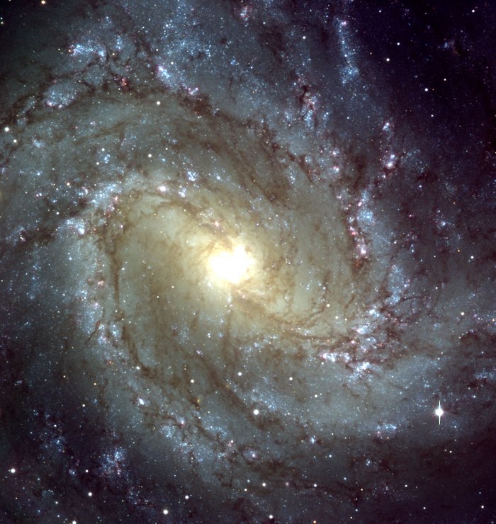 Aufnahme einer Spiralgalaxie. Vom hellen Zentrum ausgehend sind deutlich die Spiralarme zu erkennen.