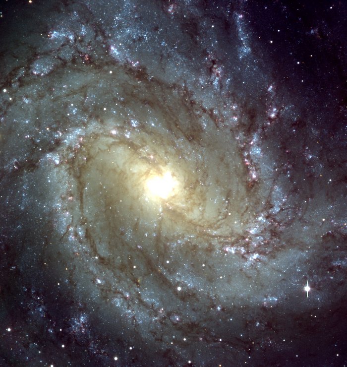 Detailreiche Aufnahme von M83. Aufnahme einer Spiralgalaxie. Vom hellen Zentrum ausgehend sind deutlich die Spiralarme zu erkennen.