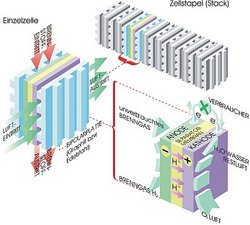 Grafik: Rechts oben ein quer liegender Stapel aus acht einzelnen Brennstoffzellen. Links eine solche Einzelzelle, die den Aufbau aus drei Schichten plus geriffelten Bipolarplatten als Abgrenzung zeigt. Durch diese Rillen tritt vertikal der Brennstoff, horizontal die Luft ein und aus. Rechts unten ist der Dreischichtaufbau in der Zelle zu erkennen, mit Seperatormembran zwischen Anode und Kathode sowie der unterschiedlichen Flussrichtung von Wasserstoffprotonen und Elektronen.