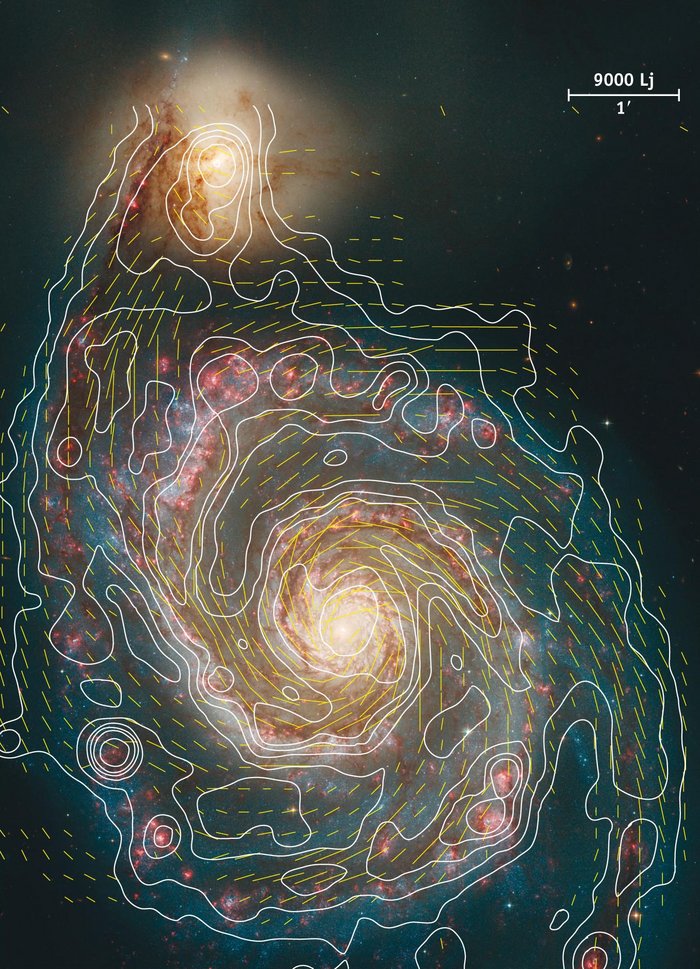 Magnetfeldlinien der Galaxie M51 Im Hintergrund befindet sich eine Spiralgalaxie. Im Vordergrund zeigen kurze gelbe Striche die Richtung des kosmischen Magnetfeldes an, das ebenfalls grob spiralförmig ist. Weiße Konturlinien zeigen die Gesamtintensität bei sechs Zentimeter an.