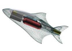HyFish - Flugzeug mit Brennstoffzellenantrieb