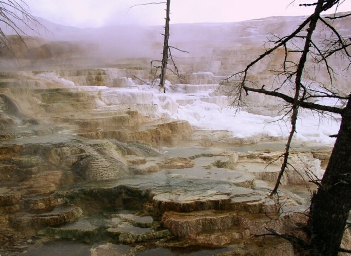 Terrassenstruktur im Yellowstone-Nationalpark