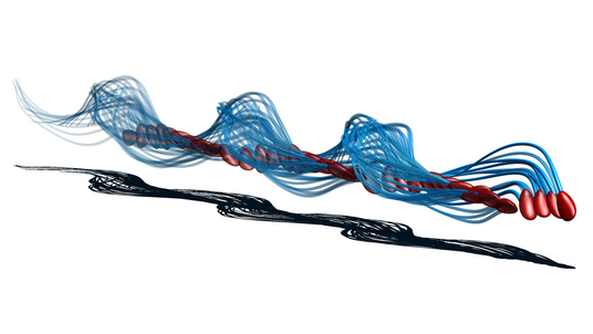Grafik eines Spermiums mit Geißel. Unter dem Spermium ist ein schlangenlinienartiges Bewegungsprofil dargestellt.