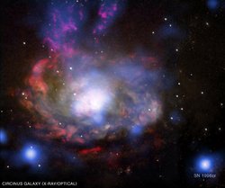 Galaxie mit Supernova