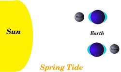 Infografik in zwei Teilen. Oben: Links die Sonne, ganz rechts die Erde, und dazwischen der Mond. Auf beiden Seiten der Erdoberfläche - zu Sonne und Mond hin und auf der entgegengesetzten Seite - wölbt sich je ein Wasserberg auf. Unten: Links die Sonne, ganz rechts der Mond, und dazwischen die Erde. Wieder wölbt sich auf beiden Seiten der Erde - zur Sonne hin und zum Mond hin - je eine Art Wasserberg auf.