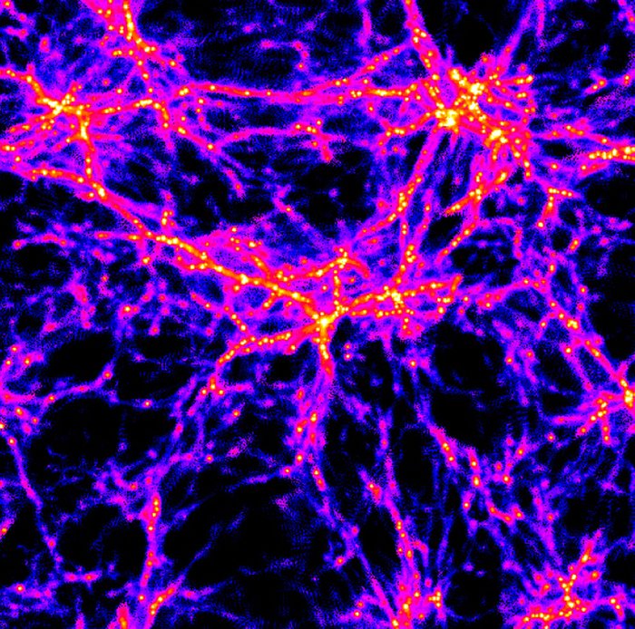 Simulation: Ein Gespinst von blauen und violetten Fäden; an den Knoten oft rote und gelbe Flecken; an einigen Stellen sehr dichte große Knoten, an denen viele Fäden zusammenlaufen.