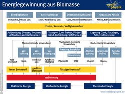 Ein Blockdiagramm informiert über Wege, Biomasse zu nutzen. Nach Ernten, Sammeln, Transport und Aufbereitung wird sie entweder thermochemisch verkohlt, vergast oder verflüssigt. Oder sie wird physikalisch-chemisch gepresst, extrahiert oder umgeestert. Oder sie wird biochemisch vergärt, anaerob oder aerob abgebaut. Die Produkte werden bei fast allen Arten einfach verbrannt. Nur der aerobe Abbau liefert gleich direkt Wärmeenergie.