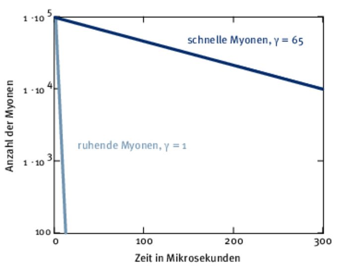 Vergleich von ruhenden und bewegten Myonen Das Diagramm zeigt den Zusammenhang zwischen der Zeit und der Anzahl von Myonen mit zwei verschiedenen Lorentzfaktoren (gamma). Die waagrechte Zeitskala reicht von 0 bis 300 Mikrosekunden. Die senkrechte Achse ist logarithmisch skaliert und reicht von 100 bis 10 hoch 5 Myonen. Zwei Geraden zeigen im Diagramm die Myonenzahl: das heißt wegen der logarithmischen Achse, dass die Teilchen nach einem exponentiellen Gesetz zerfallen. Die Gerade für ruhende Myonen mit gamma = 1 geht vom linken oberen Eck des Diagramms sehr steil nach unten und schneidet schon bei etwa 20 Mikrosekunden die Waagrechte für die Teilchenzahl 100. Die Gerade für schnelle Myonen mit gamma = 65 fällt sehr viel langsamer. Sie geht vom linken oberen Eck nur flach nach unten. Bei 300 Mikrosekunden endet sie am rechten Rand des Diagramms in Höhe der Teilchenzahl 10 hoch 4.