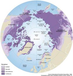 Karte. Blick von oben auf die Nordhalbkugel. Flächen mit Permafrost sind eingefärbt. Permafrost gibt es demnach in Nordkanada, Alaska, Sibirien, Skandinavien und auf Grönland.